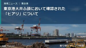 東京港大井ふ頭において確認された「ヒアリ」について（乗り物とインフラ新聞）