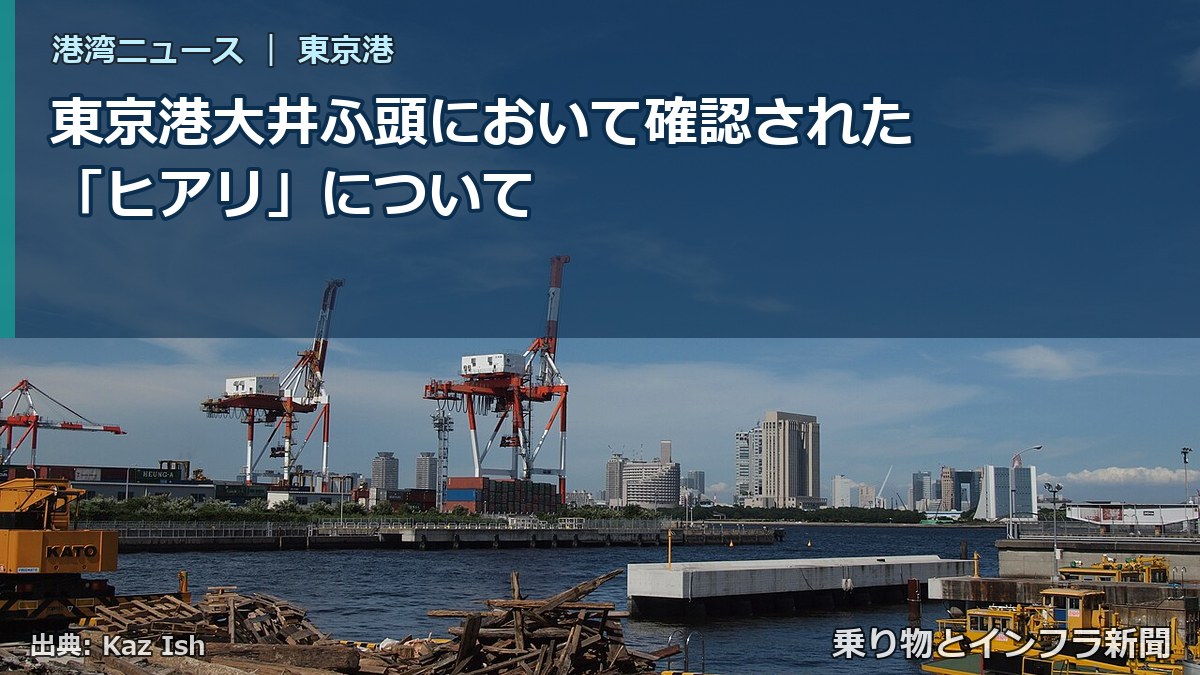 東京港大井ふ頭において確認された「ヒアリ」について（乗り物とインフラ新聞）