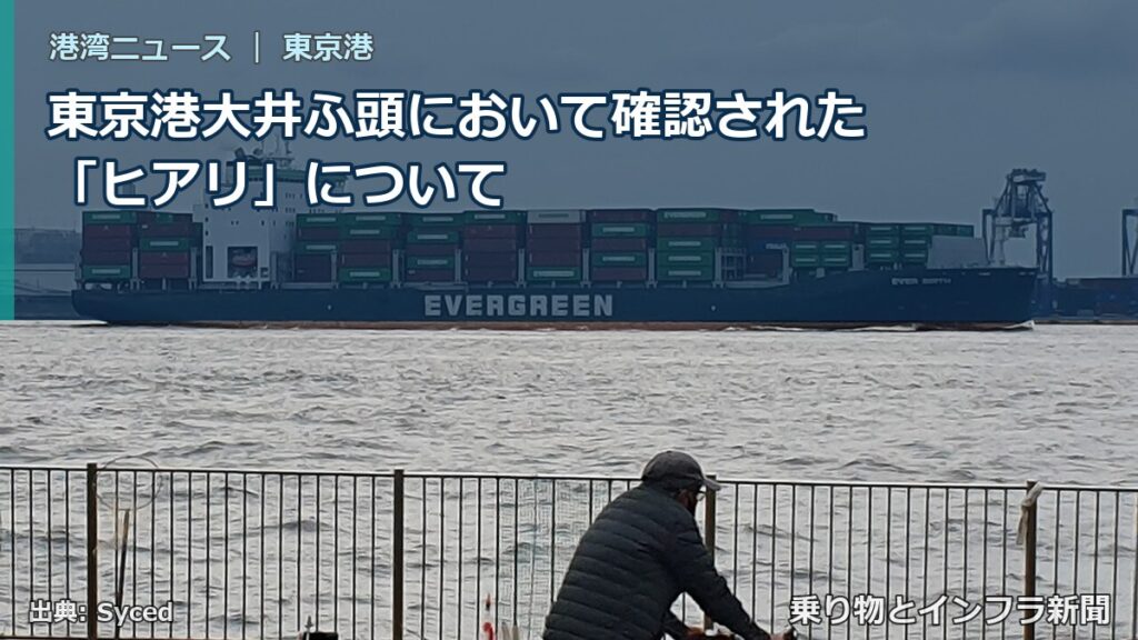 東京港大井ふ頭において確認された「ヒアリ」について（乗り物とインフラ新聞）