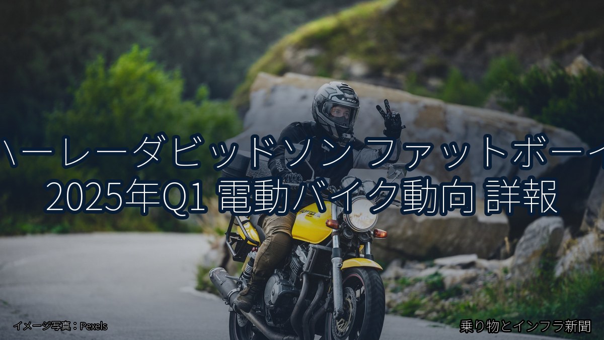 ハーレーダビッドソン ファットボーイ 2025年Q1 電動バイク動向 詳報（乗り物とインフラ新聞）